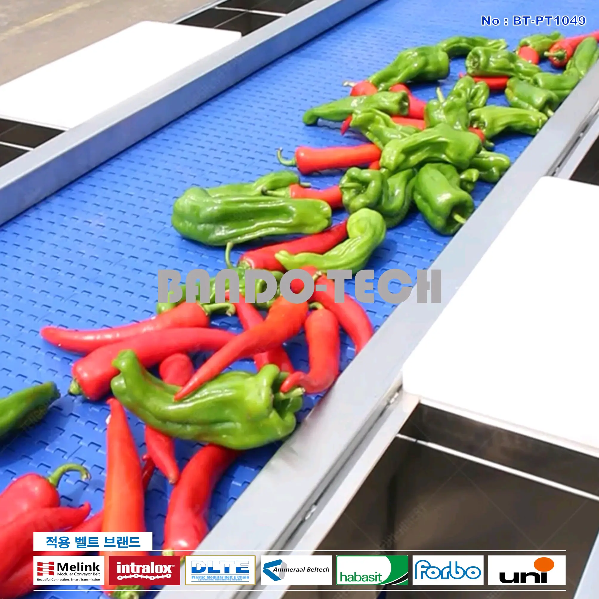 탑벨트 & 탑체인 46